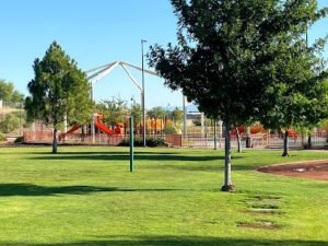 Soccer Field image 1
