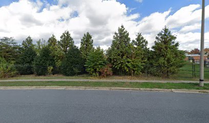 Soccer Field image 1