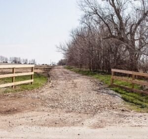 Soccer Field image 3