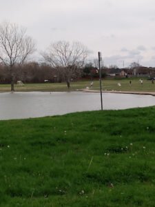 Soccer Field image 1