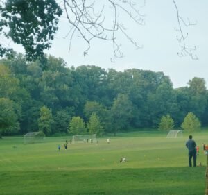 Soccer Field image 2