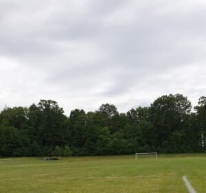 Soccer Field image 3
