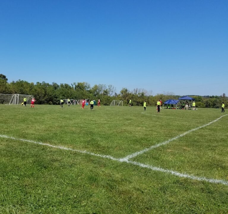 Soccer Field image 3