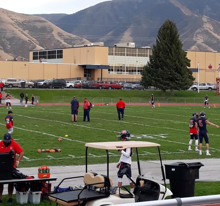 Soccer Field image 2