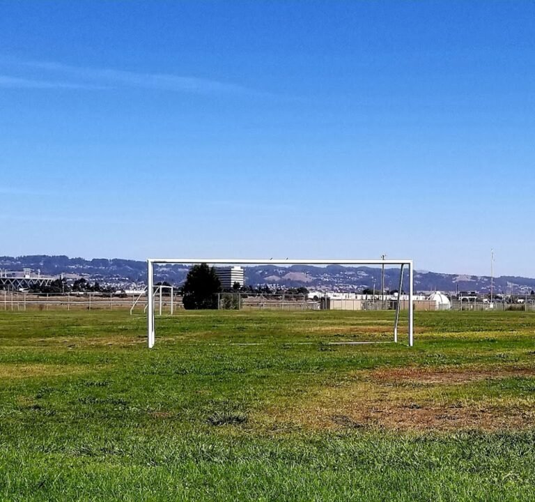 Soccer Field image 3