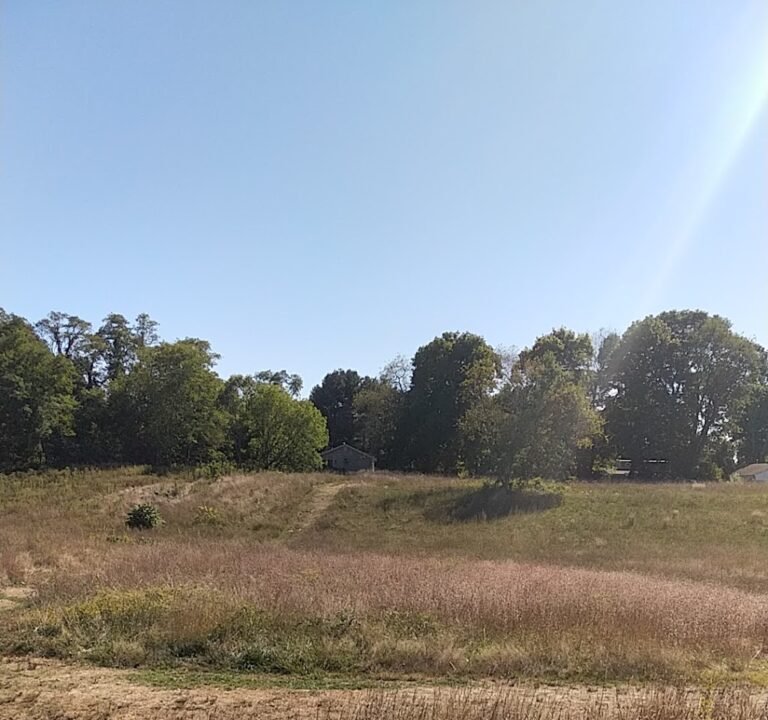 Soccer Field image 2