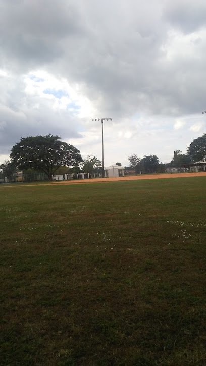 Soccer Field image 1