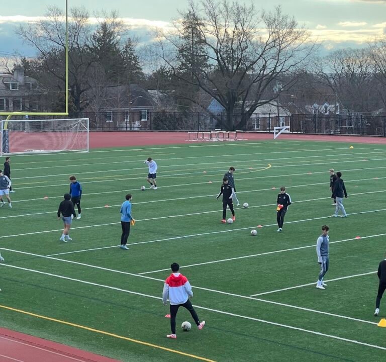 Soccer Field image 2