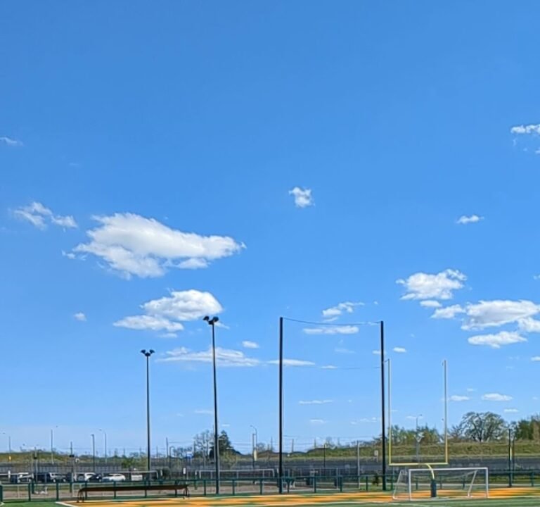 Soccer Field image 2