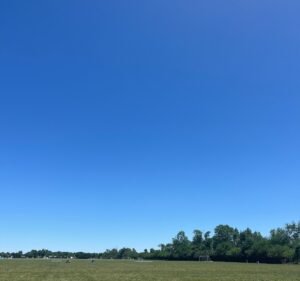 Soccer Field image 2