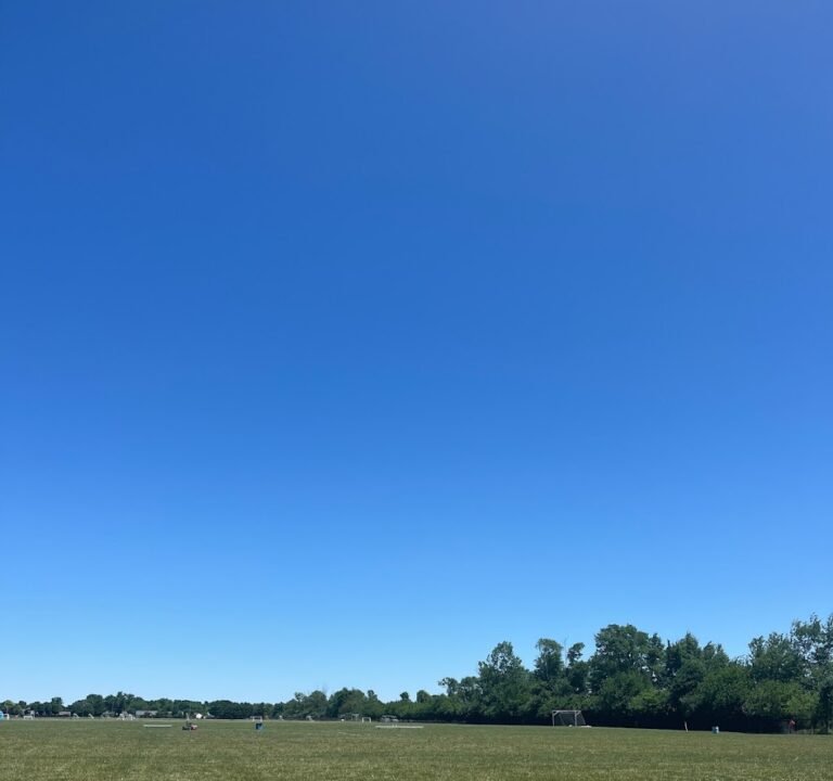 Soccer Field image 2