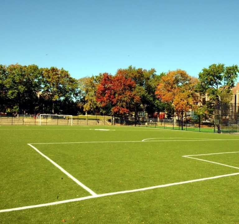 Soccer Field image 2