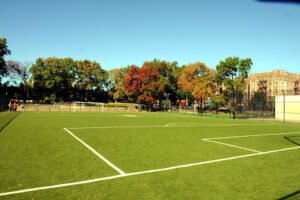 Soccer Field image 1