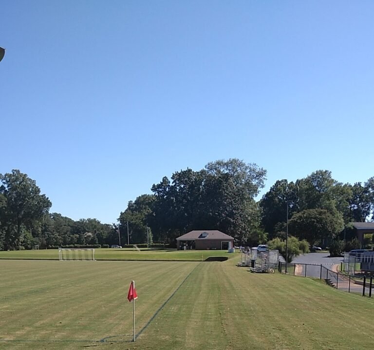 Soccer Field image 2
