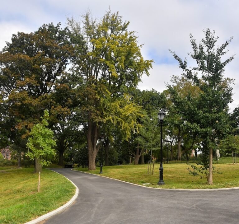 Soccer Field image 2