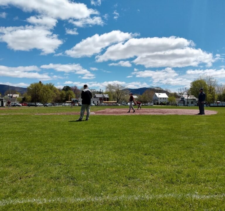 Soccer Field image 2