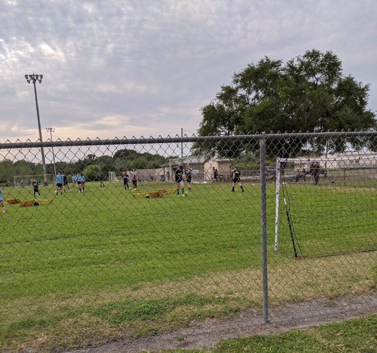 Soccer Field image 2