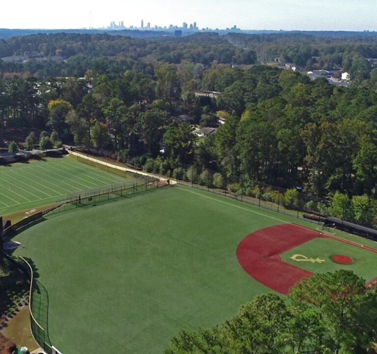 Soccer Field image 2