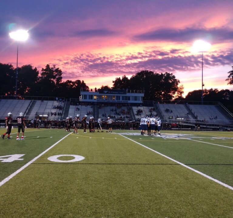 Soccer Field image 2