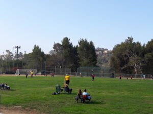 Soccer Field image 1