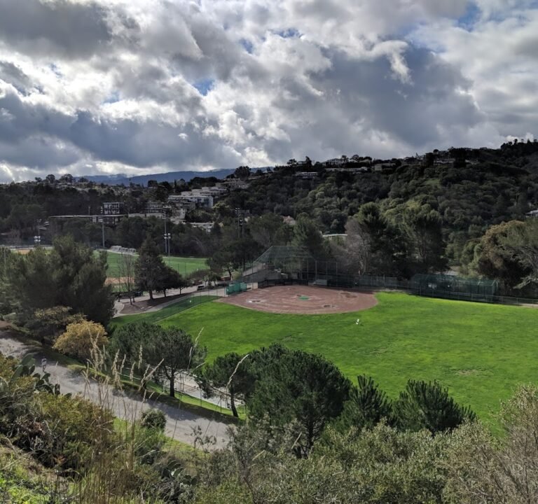 Soccer Field image 2