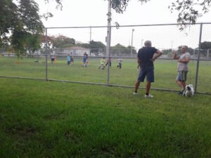 Soccer Field image 1