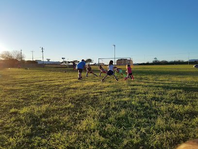 Soccer Field image 1