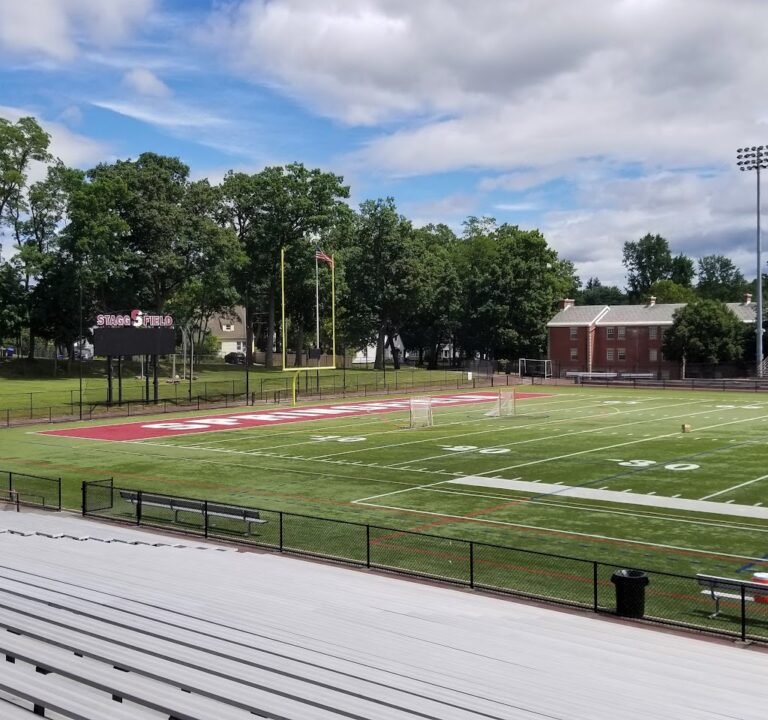 Soccer Field image 2