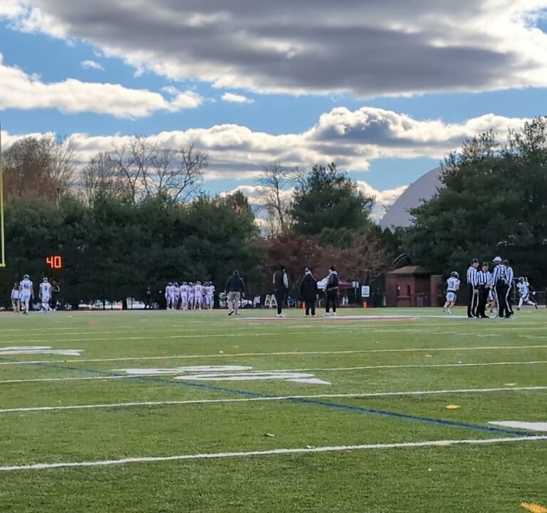 Soccer Field image 3