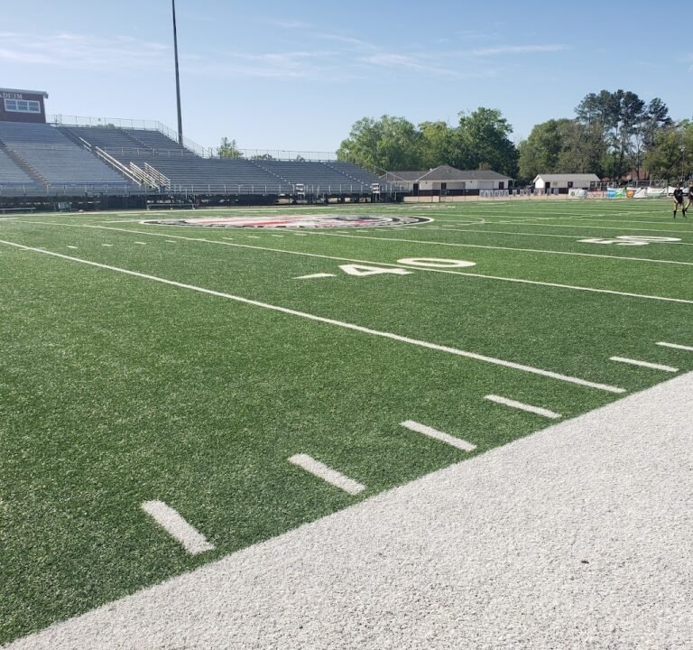 Soccer Field image 2