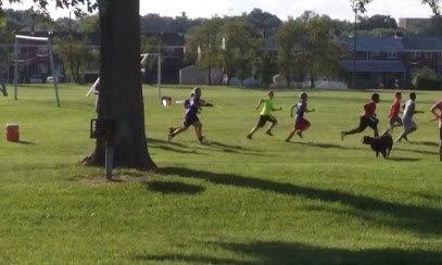 Soccer Field image 1