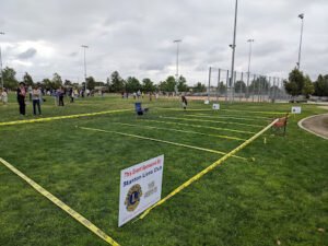 Soccer Field image 1