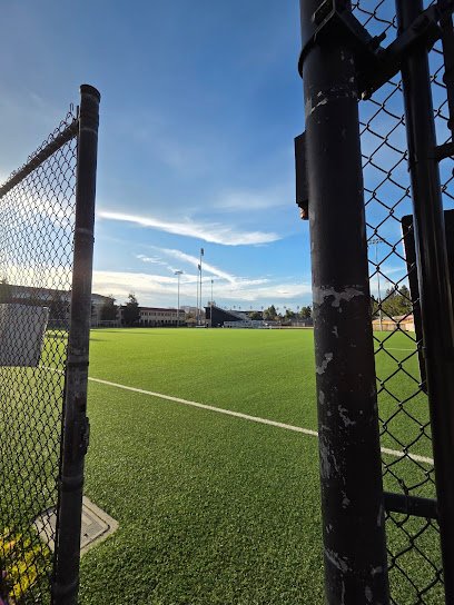Soccer Field image 1