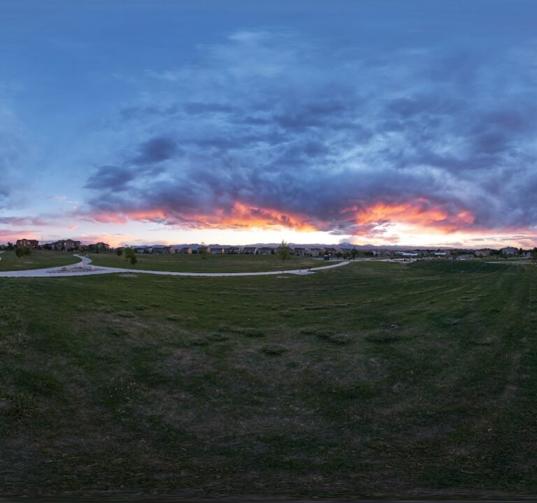 Soccer Field image 3