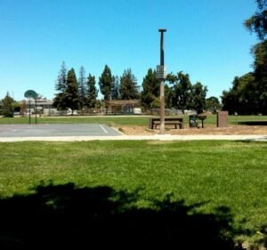 Soccer Field image 2