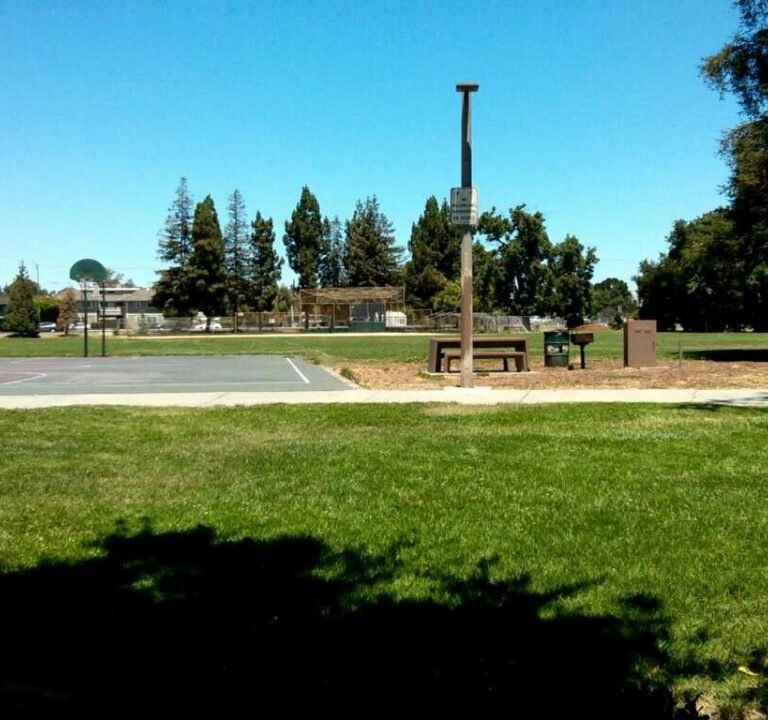 Soccer Field image 2