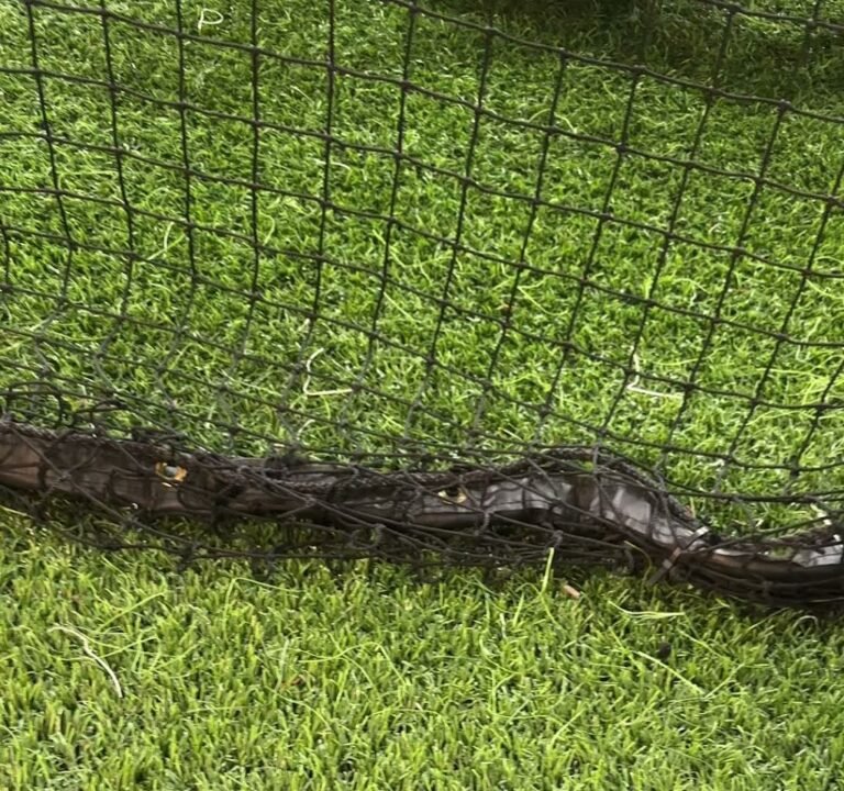 Soccer Field image 4