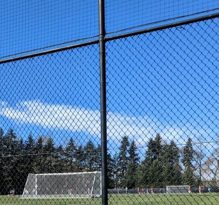 Soccer Field image 3