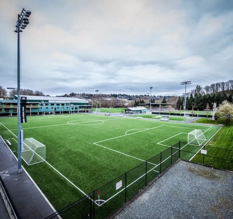 Soccer Field image 2