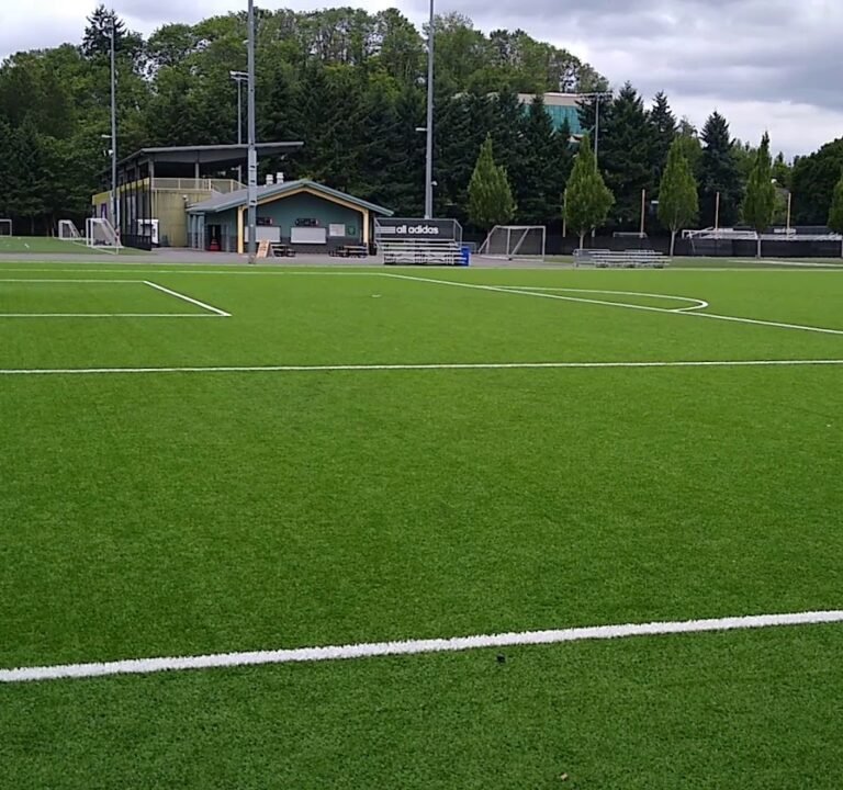Soccer Field image 4