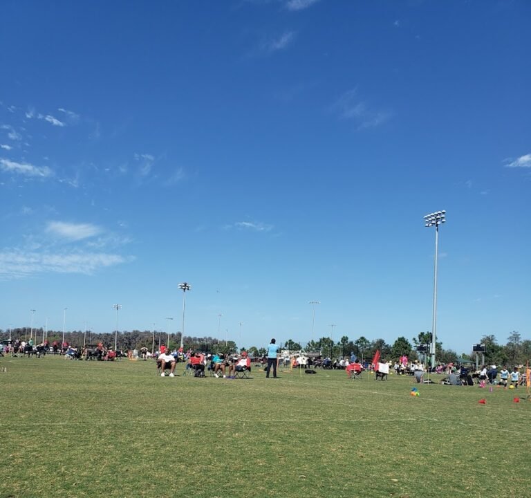 Soccer Field image 2