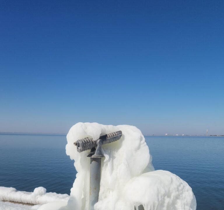 Soccer Field image 3