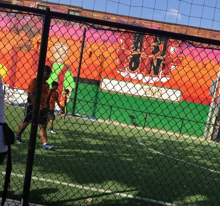 Soccer Field image 2