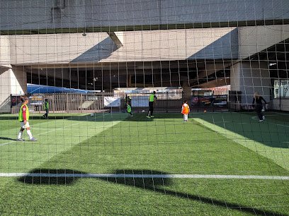 Soccer Field image 1