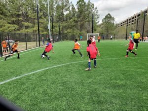 Soccer Field image 1