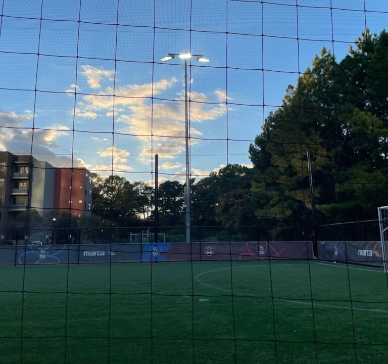 Soccer Field image 2