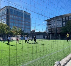 Soccer Field image 3