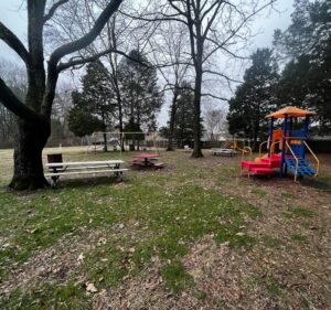 Soccer Field image 2