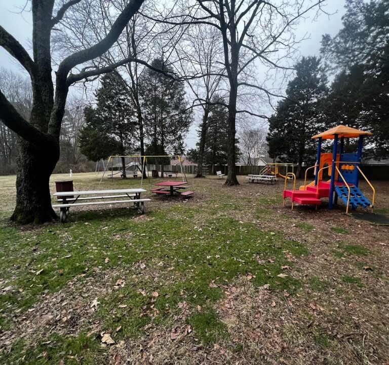Soccer Field image 2