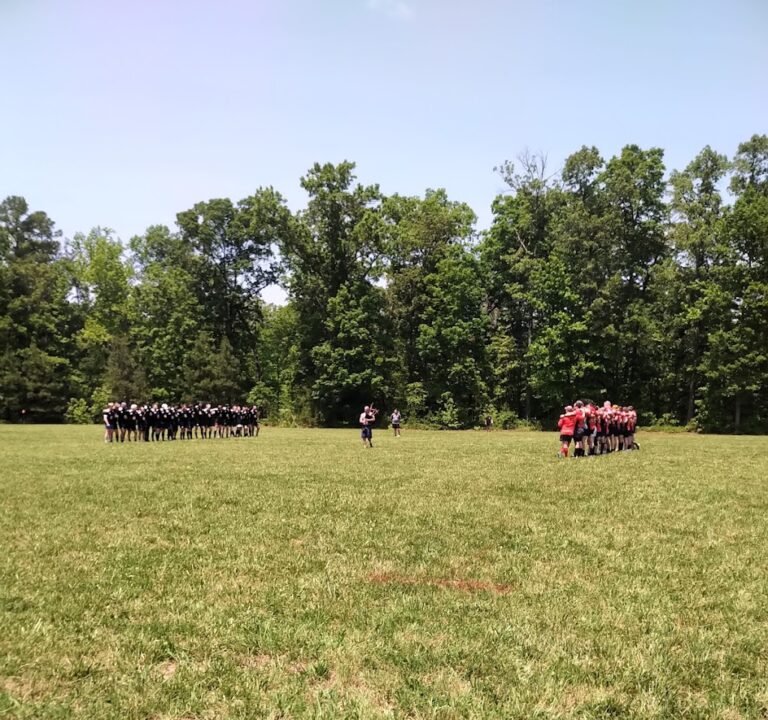 Soccer Field image 2